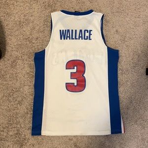 Ben Wallace Jersey (Detroit Pistons)